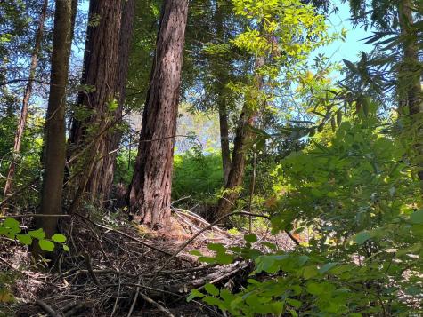 0 Drake Road Guerneville CA 95446