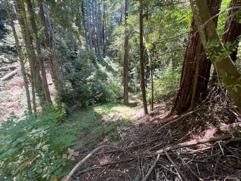 0 Drake Road Guerneville CA 95446