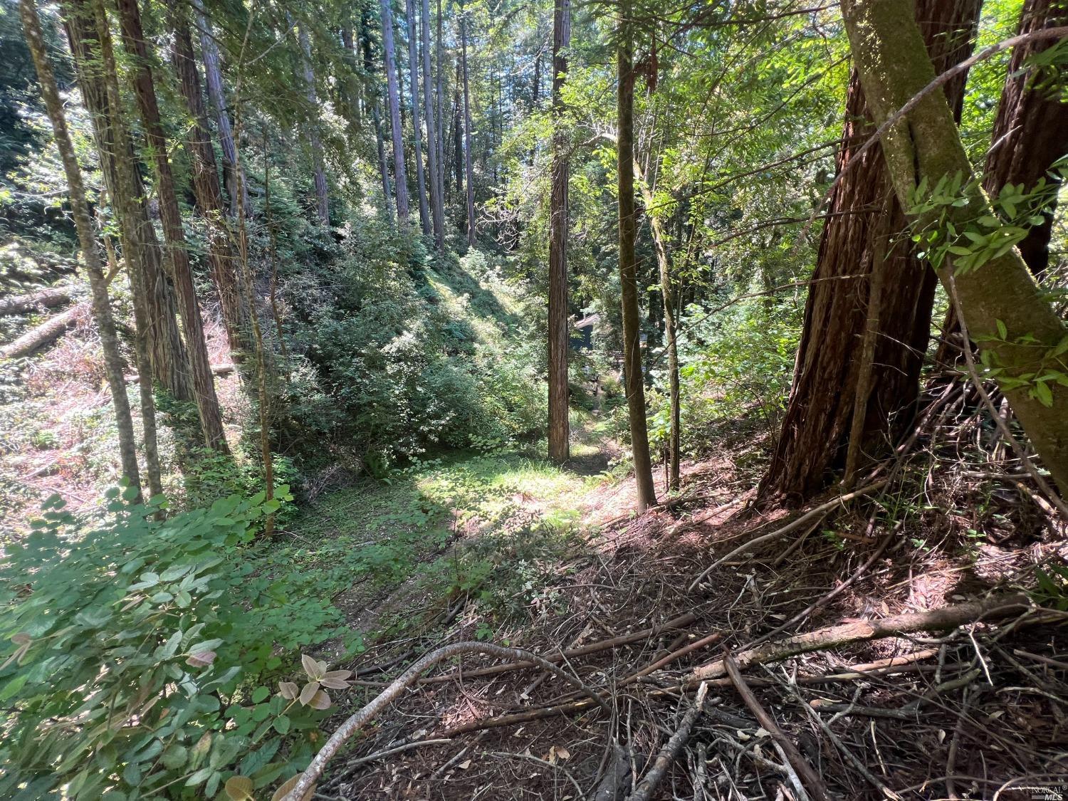 0 Drake Road Guerneville CA 95446