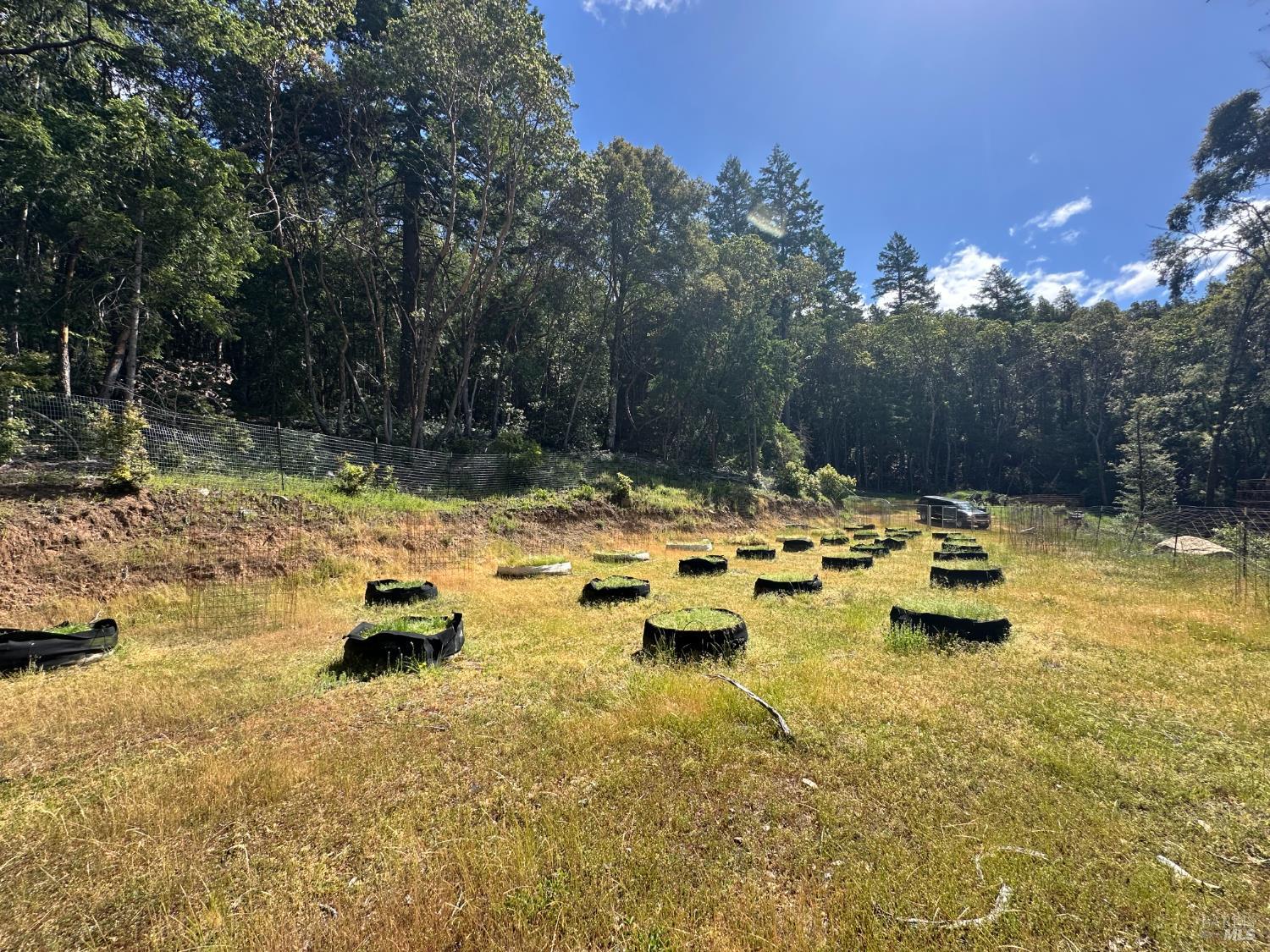 0 Little Dan Creek Road Leggett CA 95585