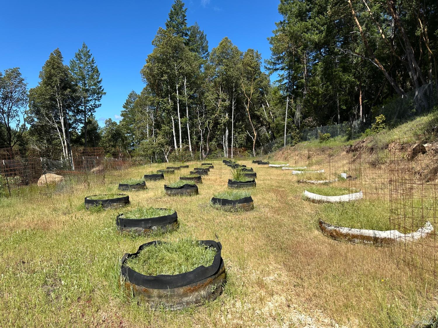 0 Little Dan Creek Road Leggett CA 95585