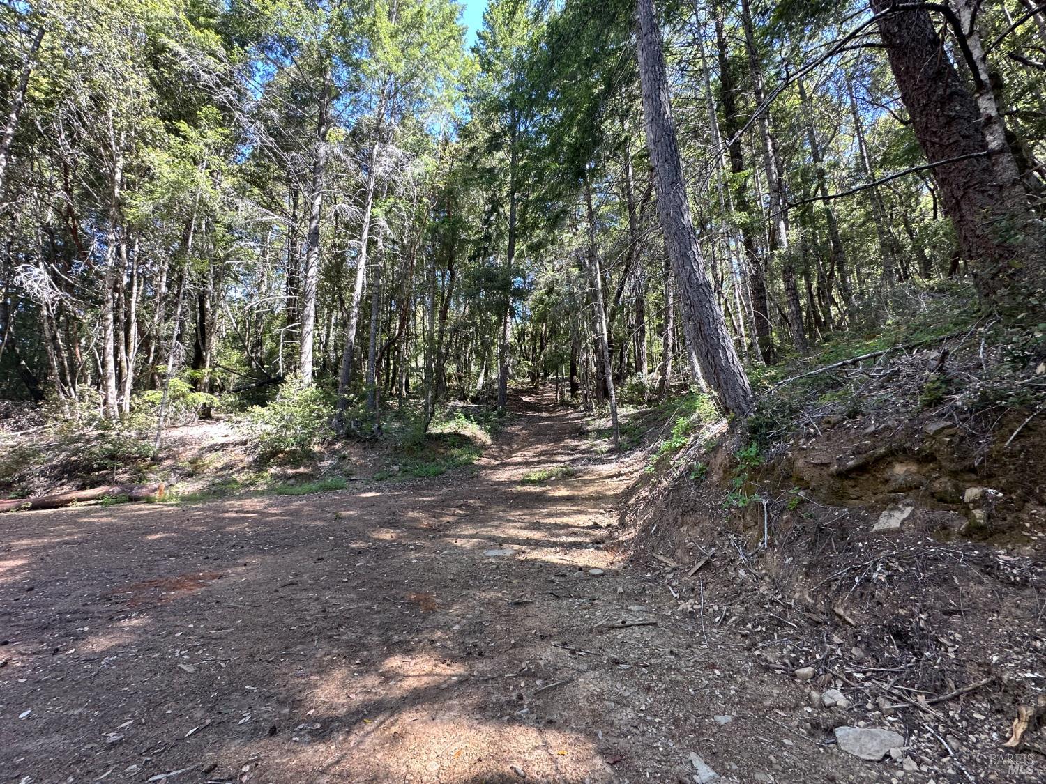 0 Little Dan Creek Road Leggett CA 95585