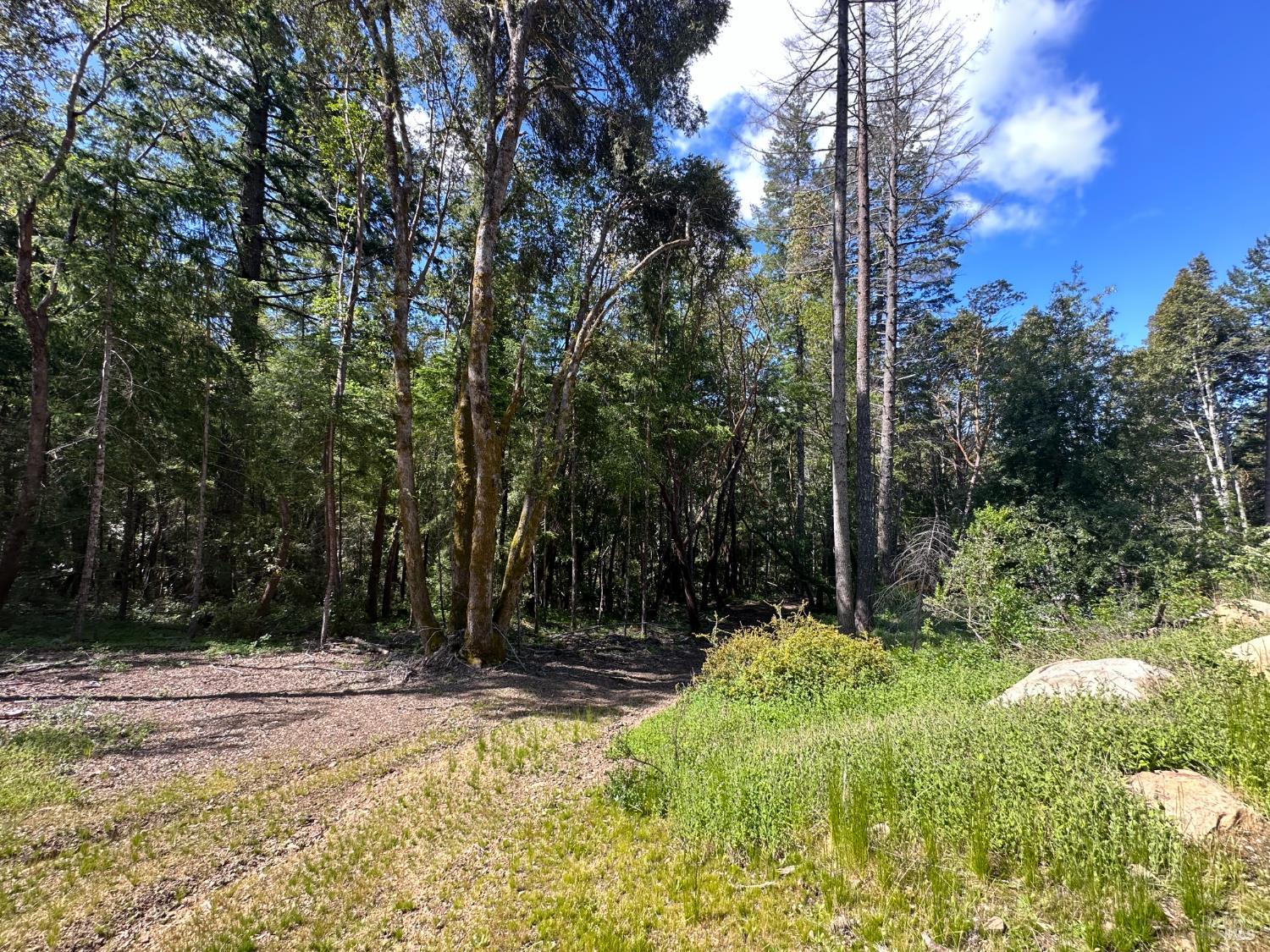 0 Little Dan Creek Road Leggett CA 95585