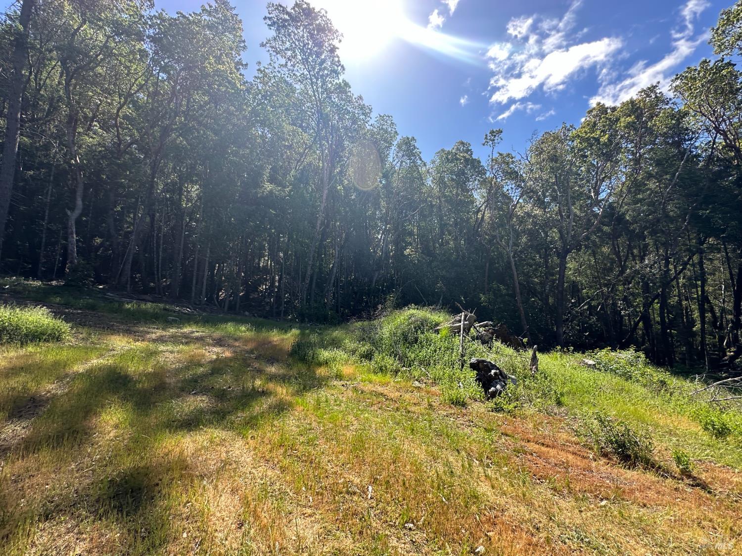 0 Little Dan Creek Road Leggett CA 95585