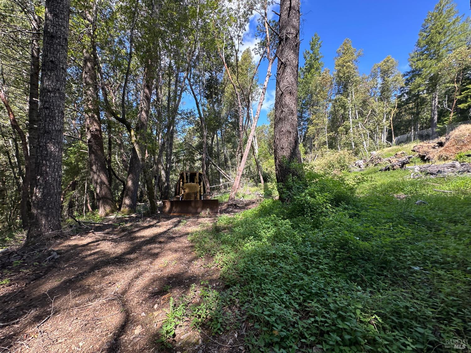 0 Little Dan Creek Road Leggett CA 95585