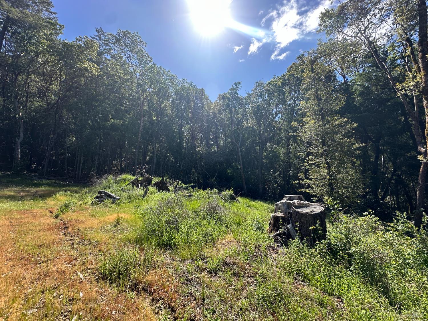 0 Little Dan Creek Road Leggett CA 95585