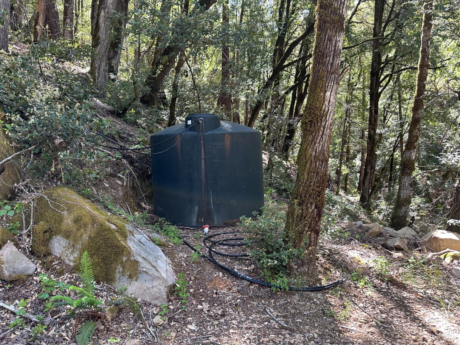 0 Little Dan Creek Road Leggett CA 95585