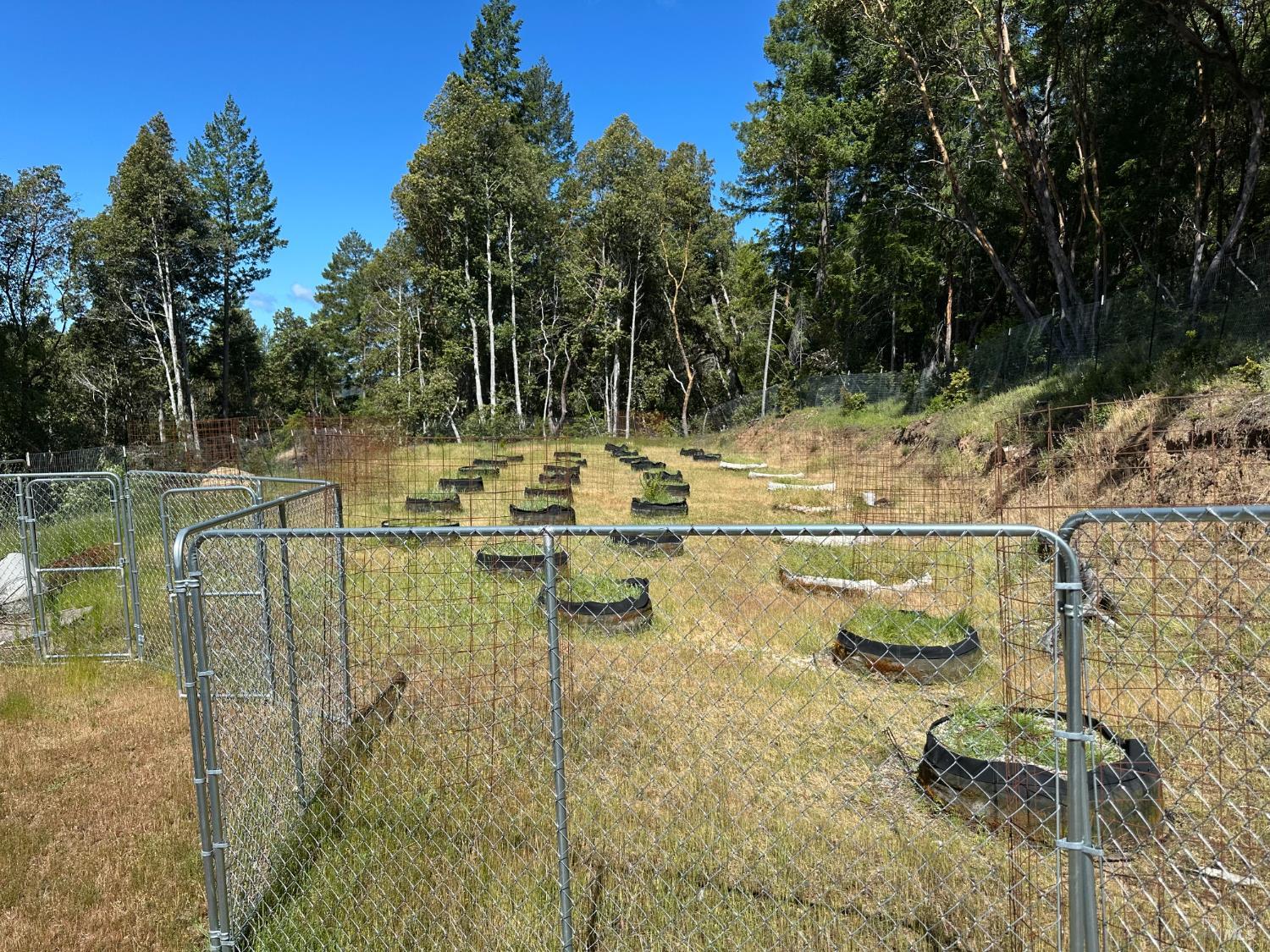 0 Little Dan Creek Road Leggett CA 95585