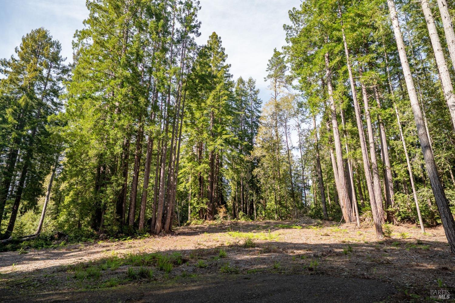 22096 Umland Circle Jenner CA 95450