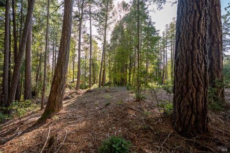 22096 Umland Circle Jenner CA 95450