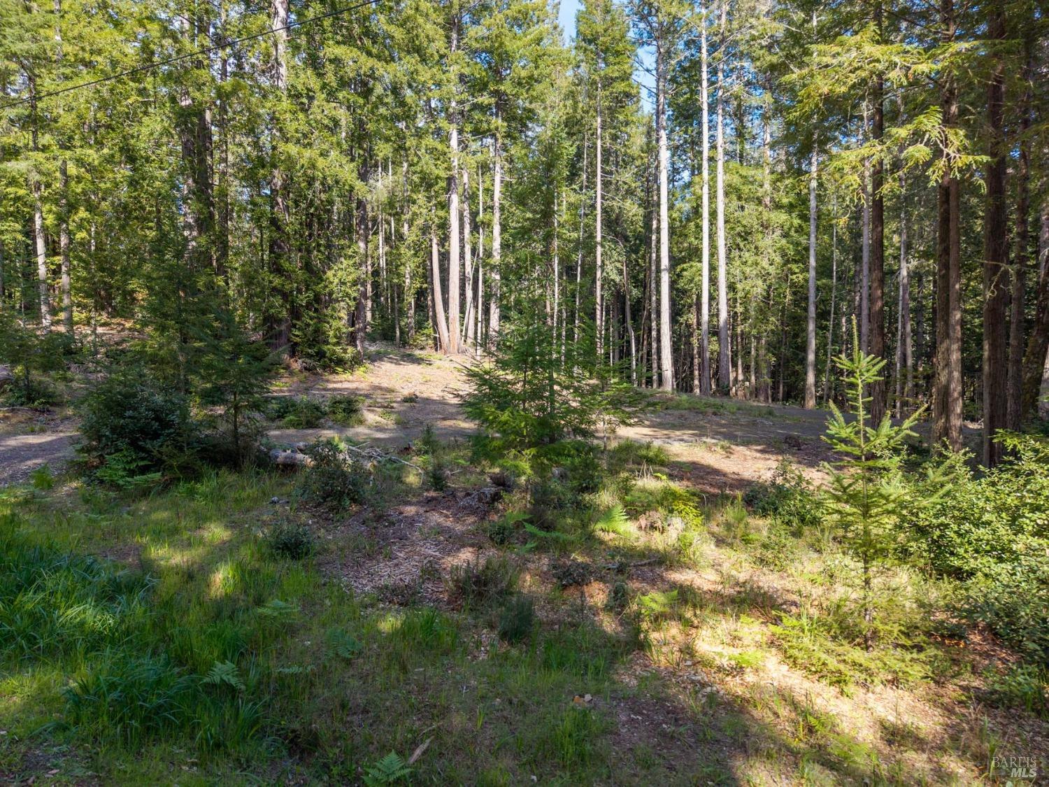 22096 Umland Circle Jenner CA 95450