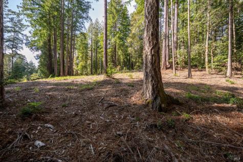 22096 Umland Circle Jenner CA 95450