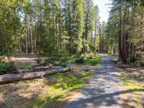 22096 Umland Circle Jenner CA 95450