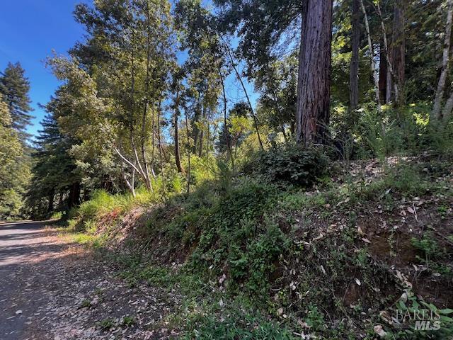 17599 Woods Avenue Guerneville CA 95446