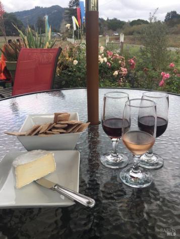 17599 Woods Avenue Guerneville CA 95446