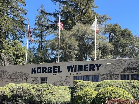 17599 Woods Avenue Guerneville CA 95446