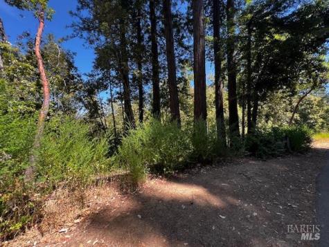 17599 Woods Avenue Guerneville CA 95446