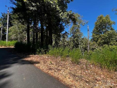 17599 Woods Avenue Guerneville CA 95446