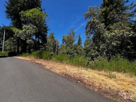 17599 Woods Avenue Guerneville CA 95446
