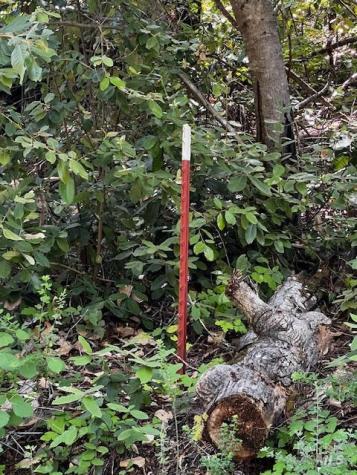 17599 Woods Avenue Guerneville CA 95446