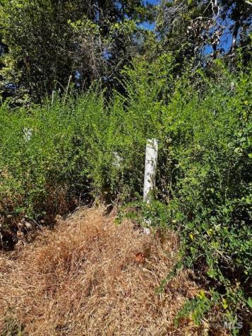 17599 Woods Avenue Guerneville CA 95446