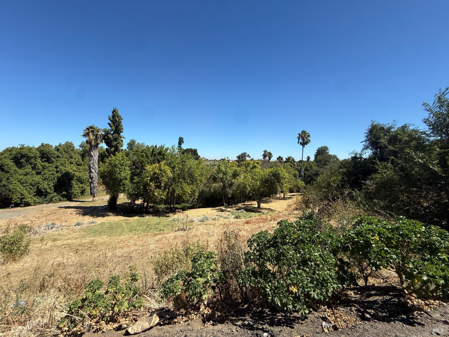 109 Wilbur Avenue Antioch CA 94509