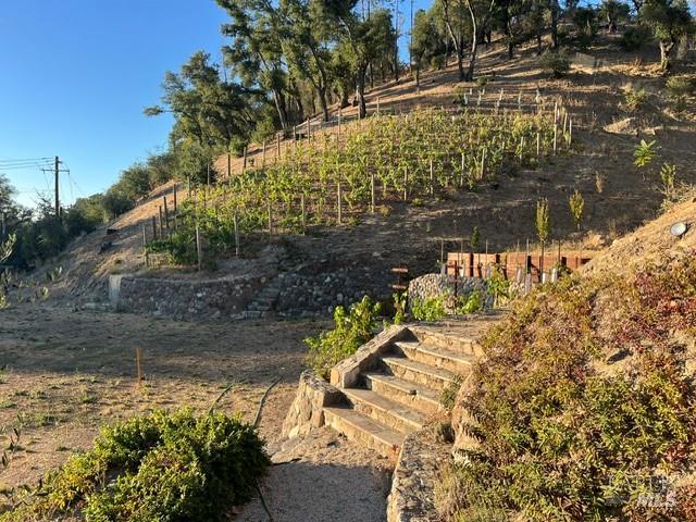 1910 Silverado Trail N St. Helena CA 94574