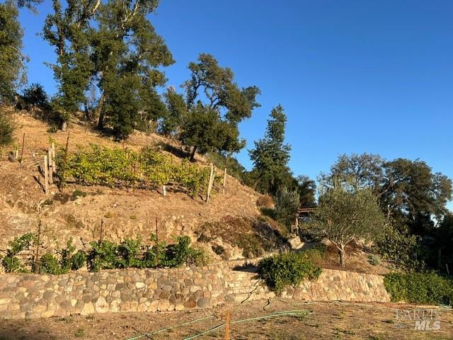 1910 Silverado Trail N St. Helena CA 94574
