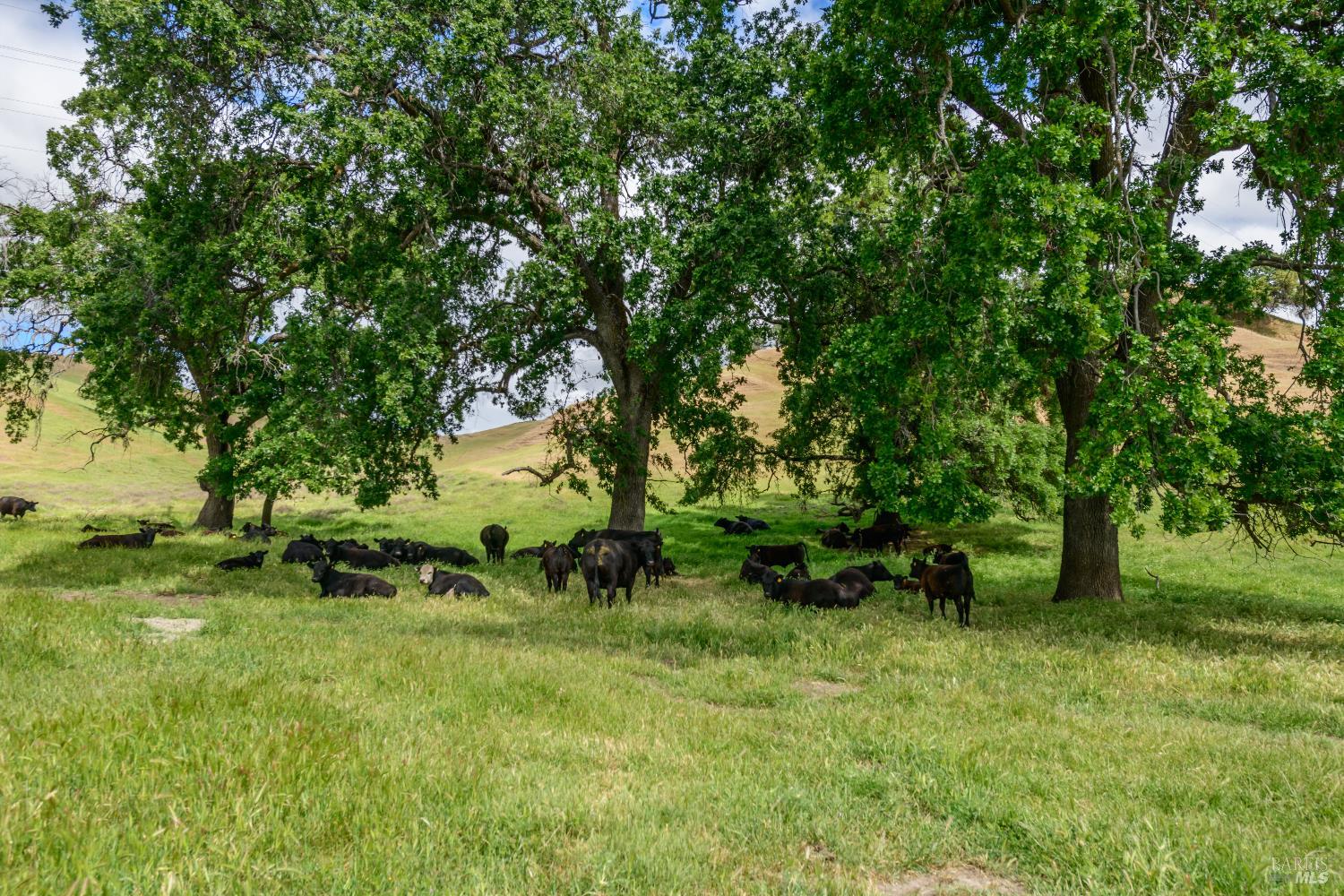 0 Gibson Canyon Road Vacaville CA 95688