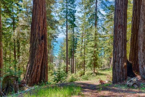 22196 Umland Circle Jenner CA 95450