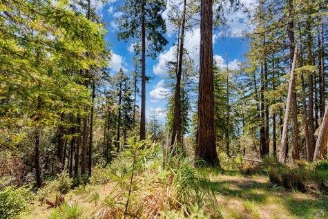 22196 Umland Circle Jenner CA 95450