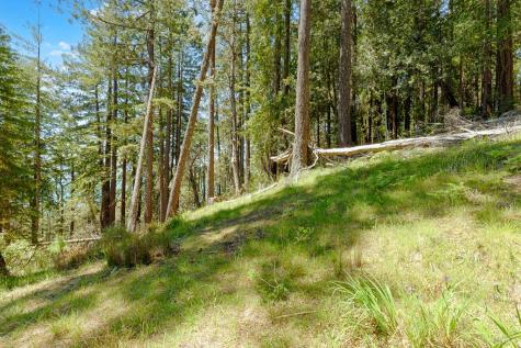 22196 Umland Circle Jenner CA 95450