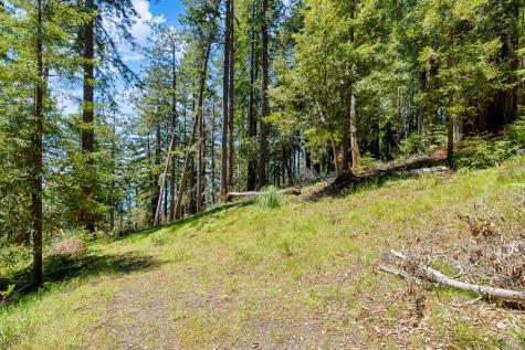 22196 Umland Circle Jenner CA 95450