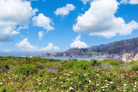 22196 Umland Circle Jenner CA 95450