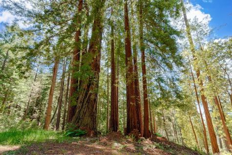 22196 Umland Circle Jenner CA 95450