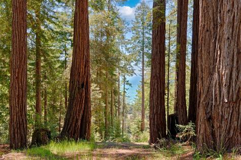 22196 Umland Circle Jenner CA 95450