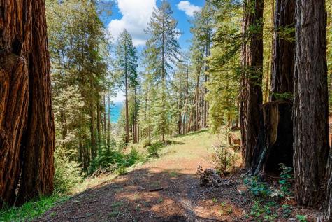 22196 Umland Circle Jenner CA 95450