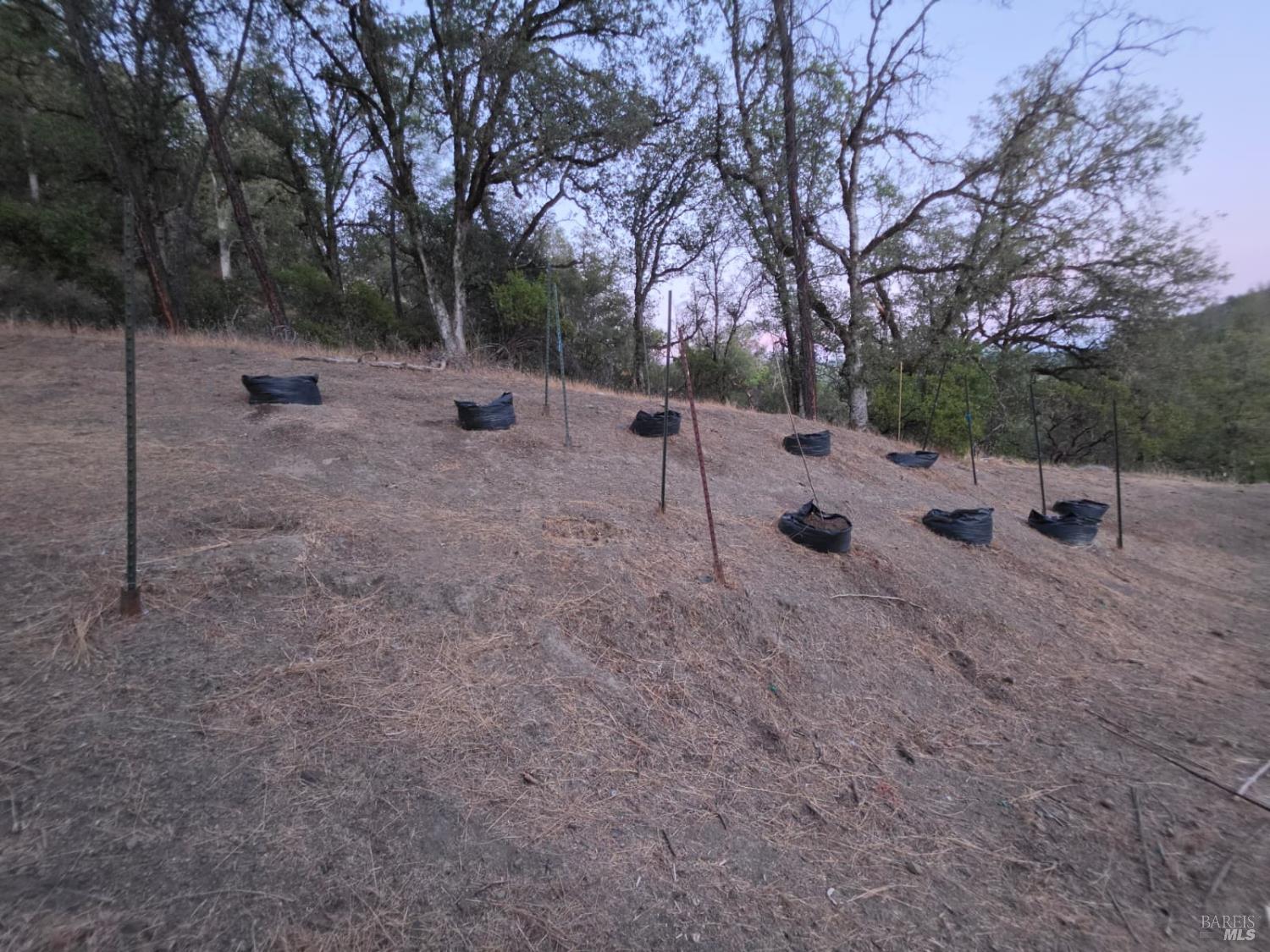 20655 Pigeon Ridge Road Covelo CA 95428