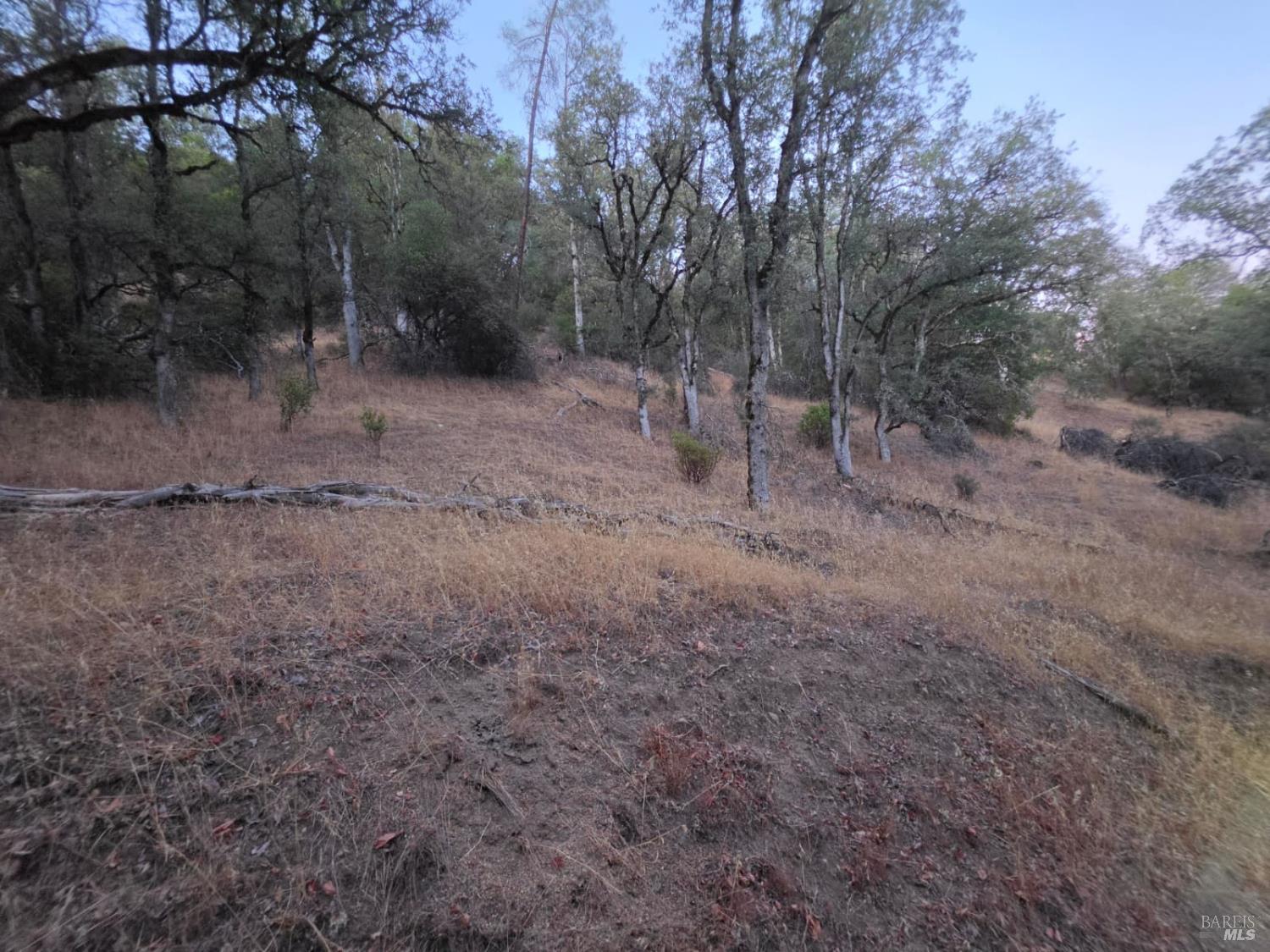 20655 Pigeon Ridge Road Covelo CA 95428