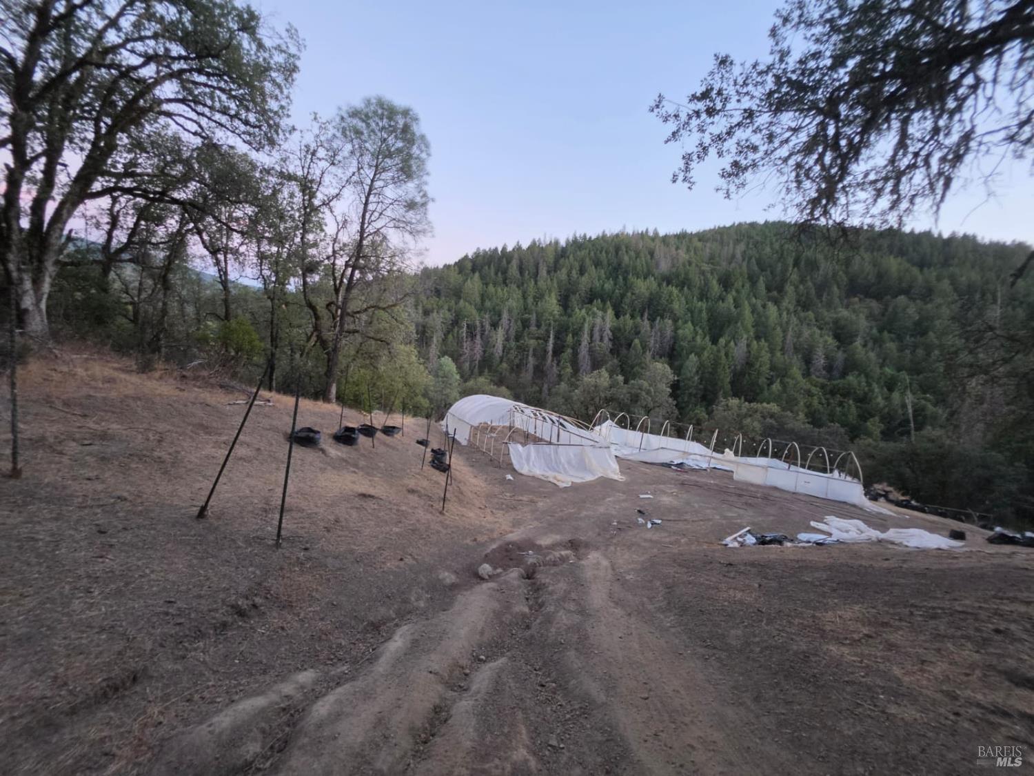 20655 Pigeon Ridge Road Covelo CA 95428