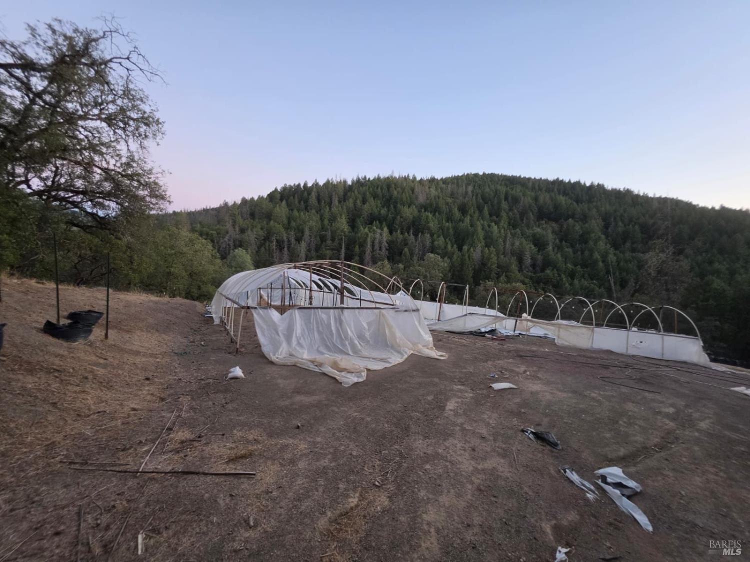 20655 Pigeon Ridge Road Covelo CA 95428