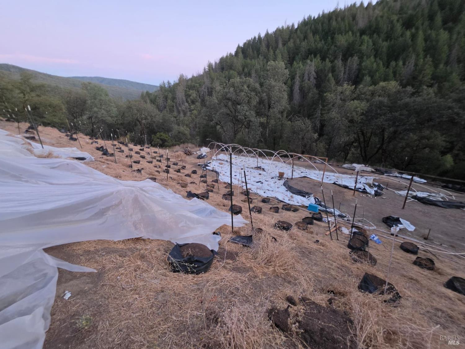 20655 Pigeon Ridge Road Covelo CA 95428