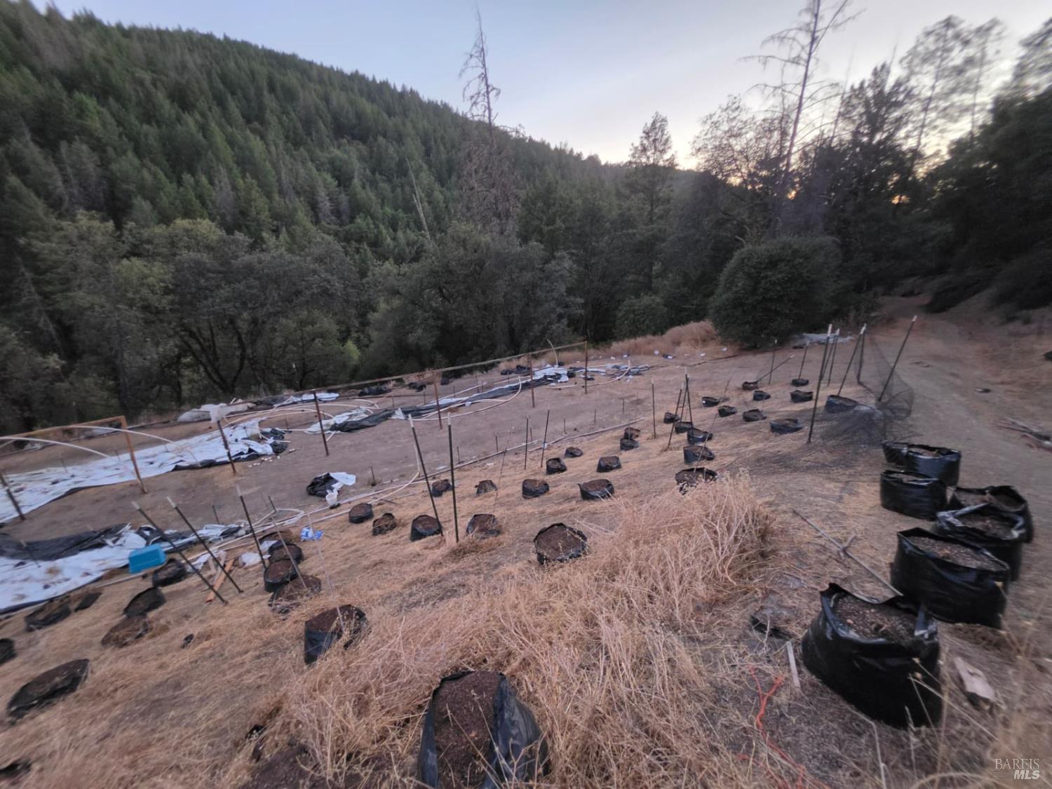 20655 Pigeon Ridge Road Covelo CA 95428