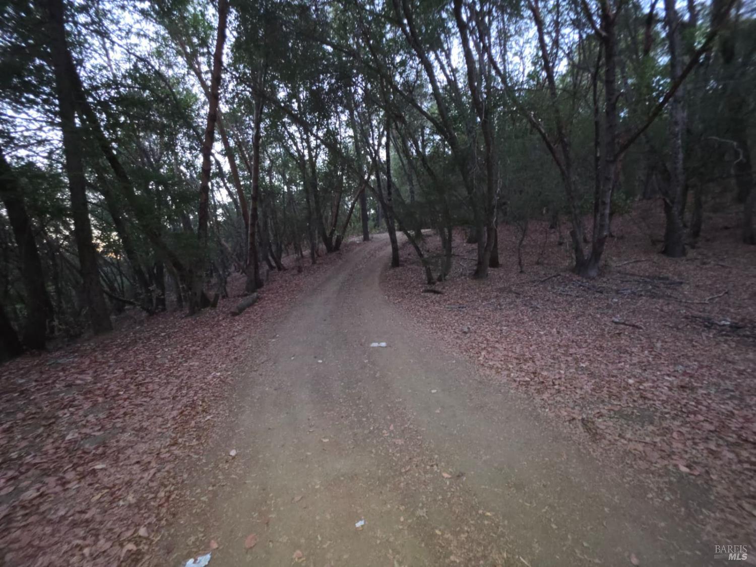 20655 Pigeon Ridge Road Covelo CA 95428