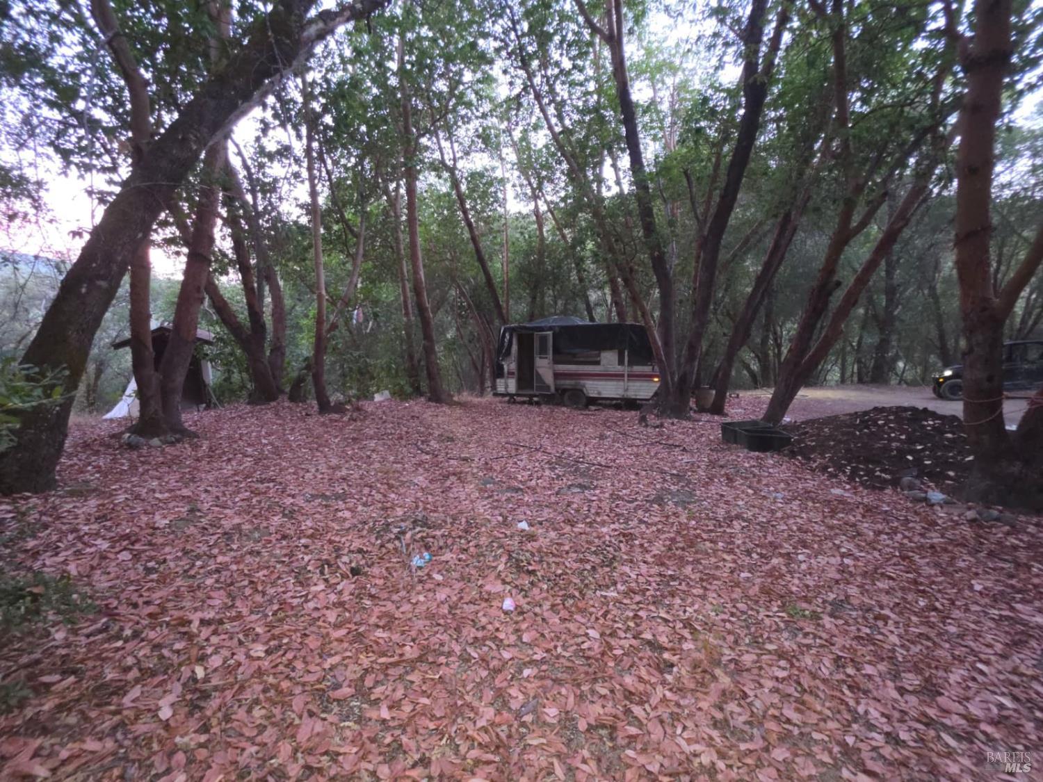 20655 Pigeon Ridge Road Covelo CA 95428