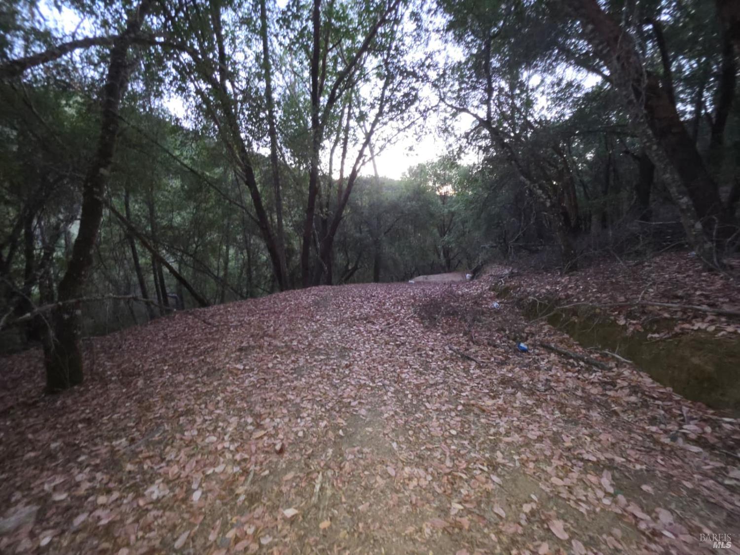 20655 Pigeon Ridge Road Covelo CA 95428