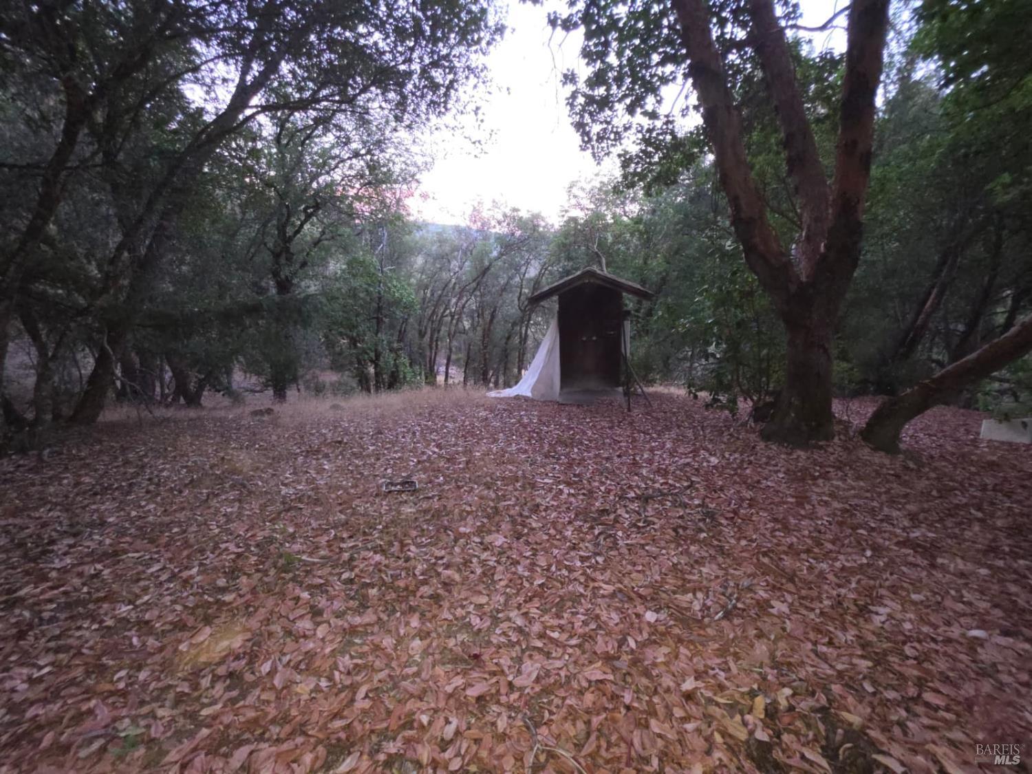 20655 Pigeon Ridge Road Covelo CA 95428