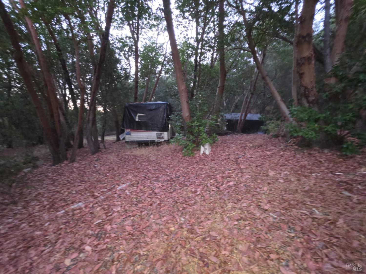 20655 Pigeon Ridge Road Covelo CA 95428