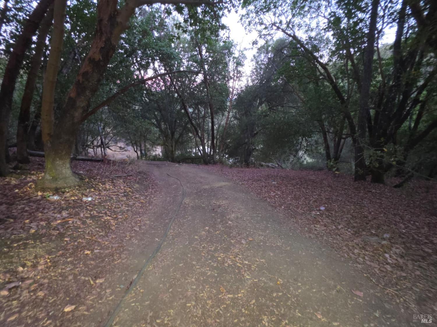 20655 Pigeon Ridge Road Covelo CA 95428