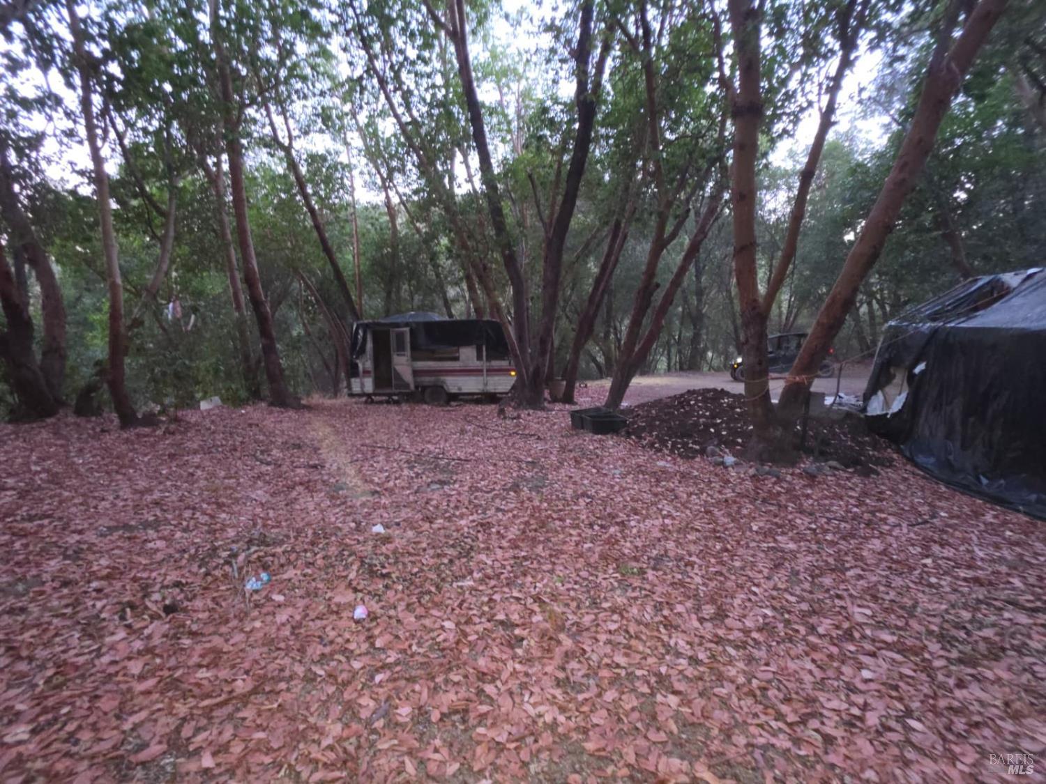 20655 Pigeon Ridge Road Covelo CA 95428